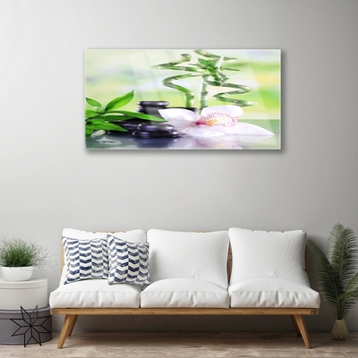 Stiklo paveikslas Orchid Bamboo Zen Spa
