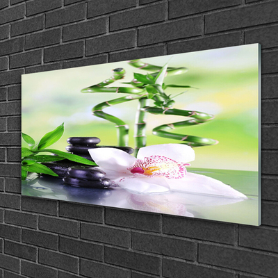Stiklo paveikslas Orchid Bamboo Zen Spa