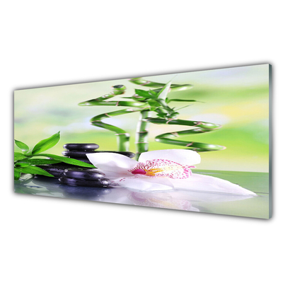 Stiklo paveikslas Orchid Bamboo Zen Spa
