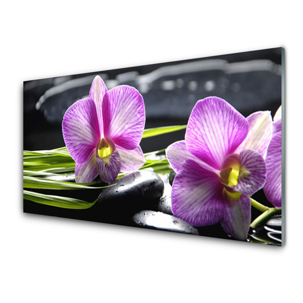 Paveikslas ant stiklo Orchid Stones Zen Spa