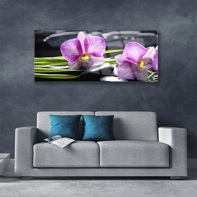 Paveikslas ant stiklo Orchid Stones Zen Spa