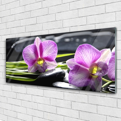 Paveikslas ant stiklo Orchid Stones Zen Spa