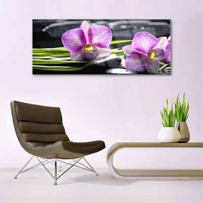 Paveikslas ant stiklo Orchid Stones Zen Spa