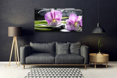 Paveikslas ant stiklo Orchid Stones Zen Spa