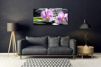 Paveikslas ant stiklo Orchid Stones Zen Spa