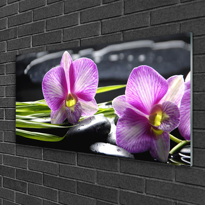 Paveikslas ant stiklo Orchid Stones Zen Spa