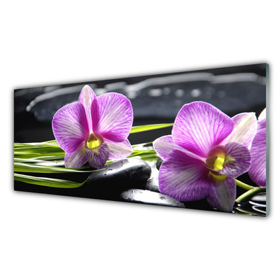 Paveikslas ant stiklo Orchid Stones Zen Spa