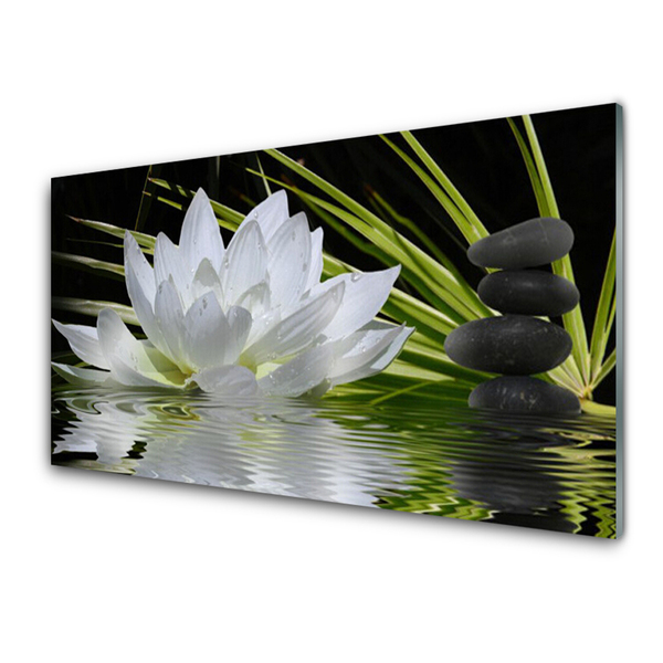 Stiklo paveikslas Vandens lelijos gėlės