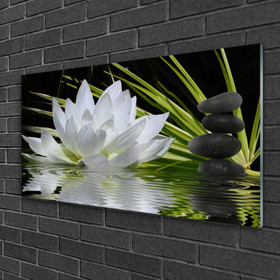 Stiklo paveikslas Vandens lelijos gėlės