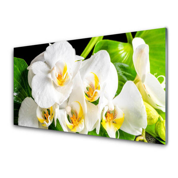 Stiklo paveikslas Orchidėjų gėlės gamta