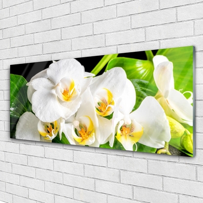 Stiklo paveikslas Orchidėjų gėlės gamta