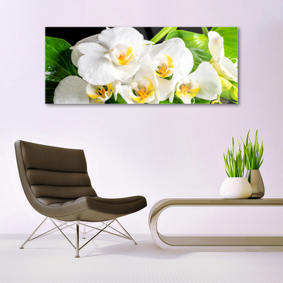 Stiklo paveikslas Orchidėjų gėlės gamta