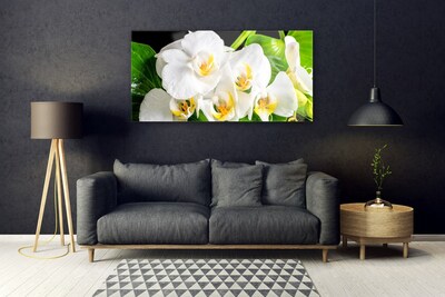 Stiklo paveikslas Orchidėjų gėlės gamta