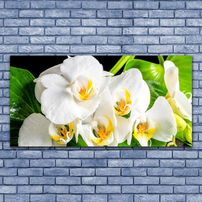 Stiklo paveikslas Orchidėjų gėlės gamta