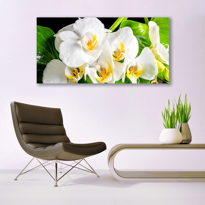 Stiklo paveikslas Orchidėjų gėlės gamta