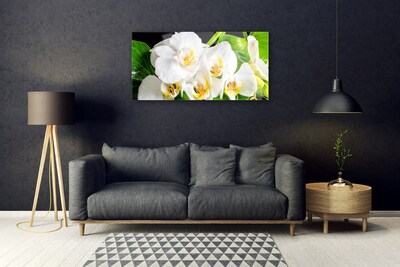 Stiklo paveikslas Orchidėjų gėlės gamta