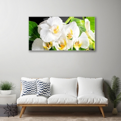 Stiklo paveikslas Orchidėjų gėlės gamta