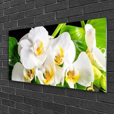 Stiklo paveikslas Orchidėjų gėlės gamta