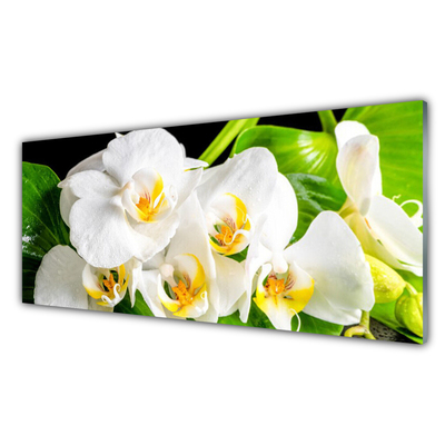 Stiklo paveikslas Orchidėjų gėlės gamta