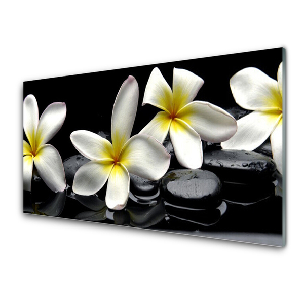 Paveikslas ant stiklo Graži Plumeria gėlė