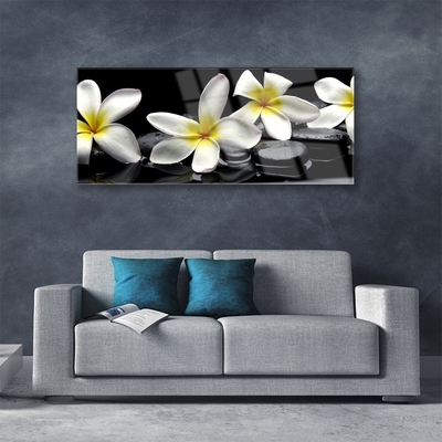 Paveikslas ant stiklo Graži Plumeria gėlė