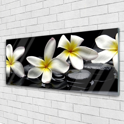 Paveikslas ant stiklo Graži Plumeria gėlė