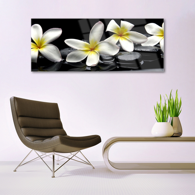 Paveikslas ant stiklo Graži Plumeria gėlė