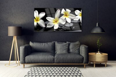 Paveikslas ant stiklo Graži Plumeria gėlė