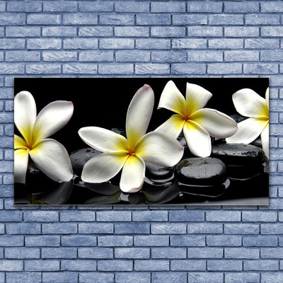 Paveikslas ant stiklo Graži Plumeria gėlė