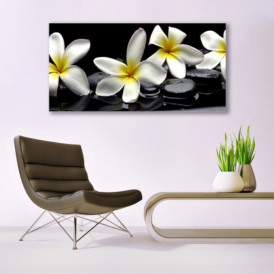 Paveikslas ant stiklo Graži Plumeria gėlė