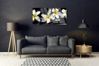 Paveikslas ant stiklo Graži Plumeria gėlė