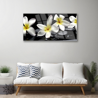 Paveikslas ant stiklo Graži Plumeria gėlė
