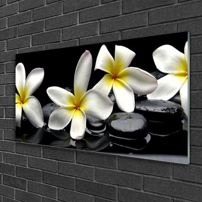 Paveikslas ant stiklo Graži Plumeria gėlė