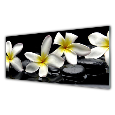 Paveikslas ant stiklo Graži Plumeria gėlė
