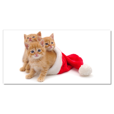 Stiklo paveikslas Saint Nicholas Cats Cats