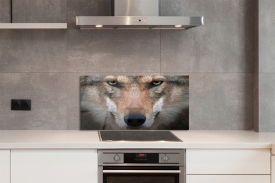 Virtuvės sienos plokštė Vilko akys