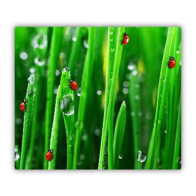 Stiklinė virtuvės lenta Ladybugs ant žolės