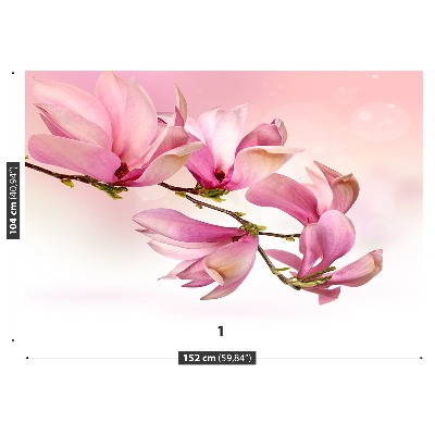 Fototapetas Magnolija