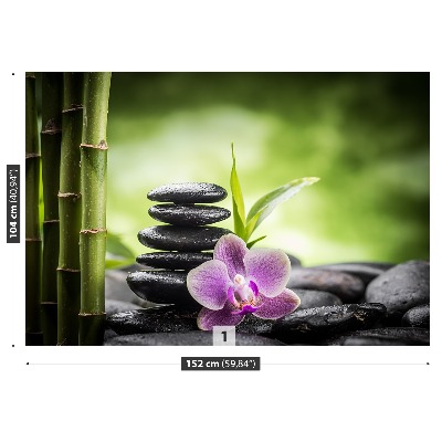 Fototapetas Zen orchidėja