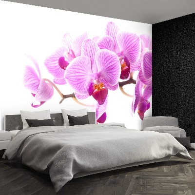 Fototapetas Rožinė orchidėja