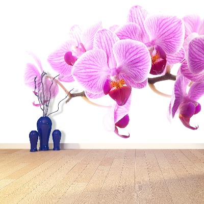 Fototapetas Rožinė orchidėja