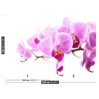 Fototapetas Rožinė orchidėja