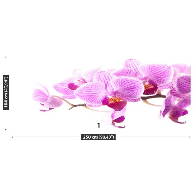 Fototapetas Rožinė orchidėja