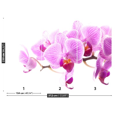 Fototapetas Rožinė orchidėja