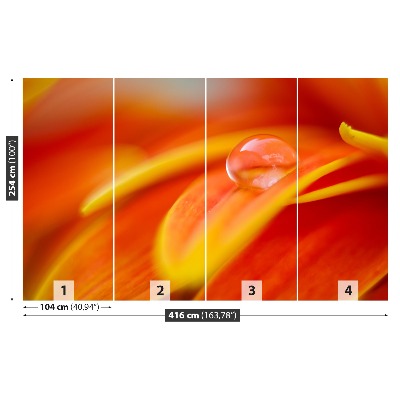 Fototapetas Lašas vandens