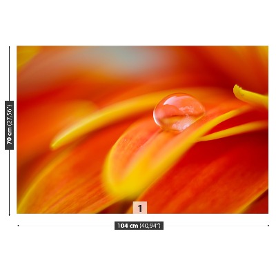 Fototapetas Lašas vandens