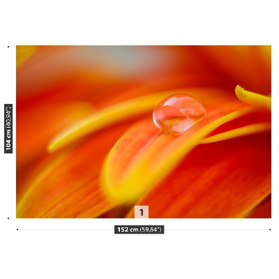 Fototapetas Lašas vandens
