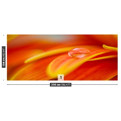Fototapetas Lašas vandens