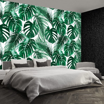 Tapetas Monstera su skylutėmis