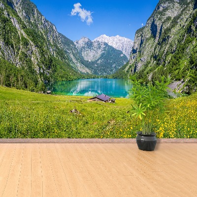 Tapetas Obersee Königssee